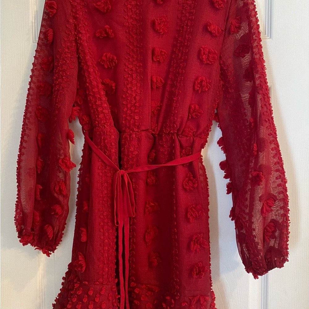 Elegant Red Textured &Merci Dress